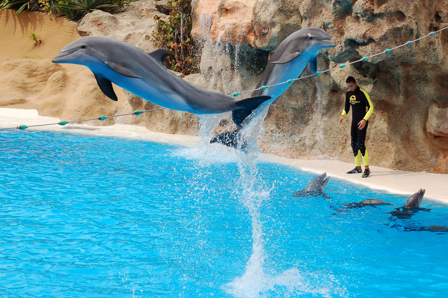 Loro Park Tenerife