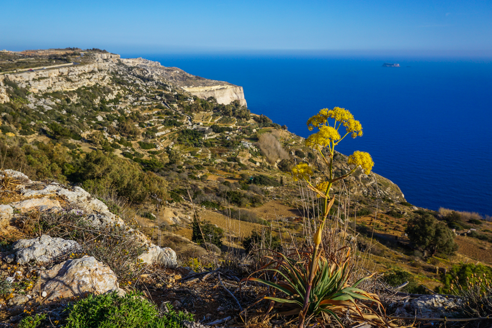 impresii malta dingli 1