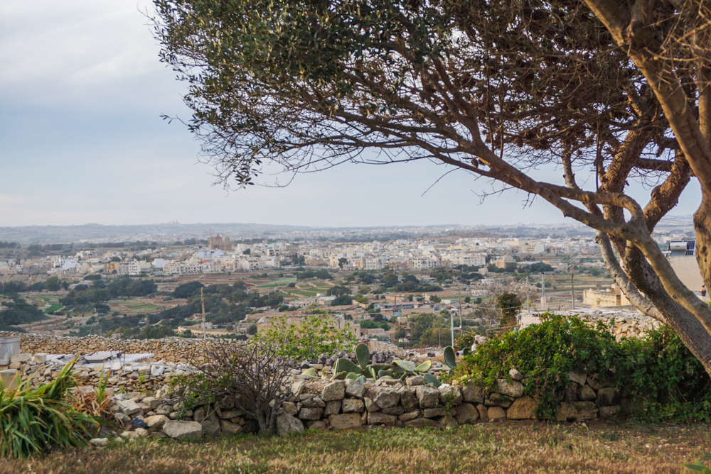 malta Tal Gibjan Garden