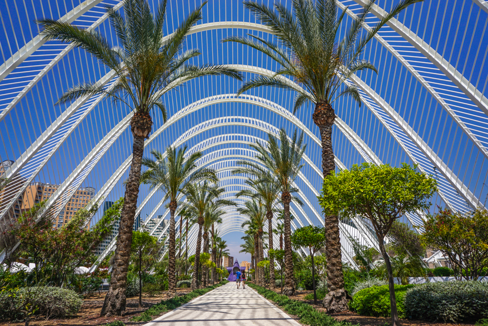 Ciudad de las Artes y las Ciencias 2