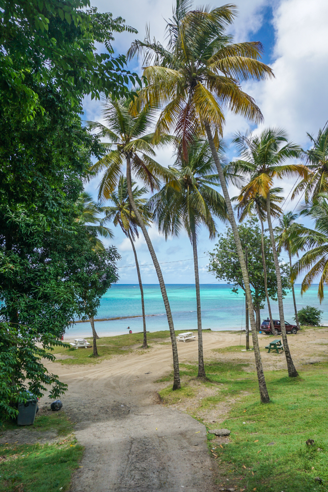 rudy john beach park st lucia-150