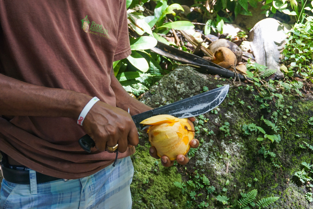 turul plantatiei st lucia-124