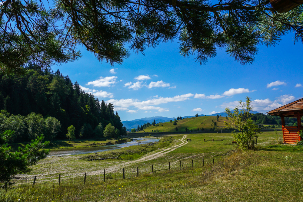 valea zimbrilor vama buzaului-11