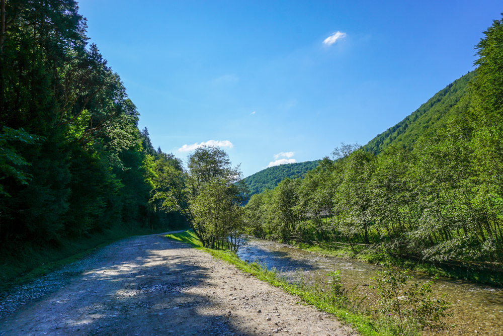 valea zimbrilor vama buzaului-2