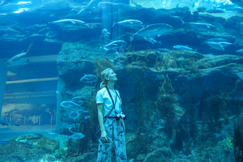 dubai-mall-aquarium-familii-42