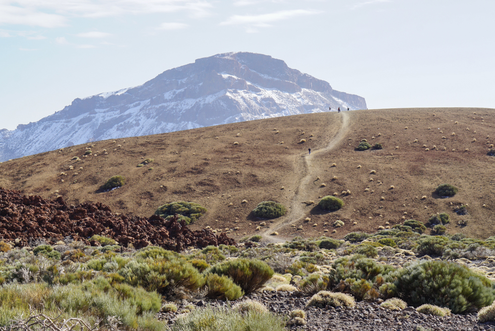 drum-teide-roadtrip-16