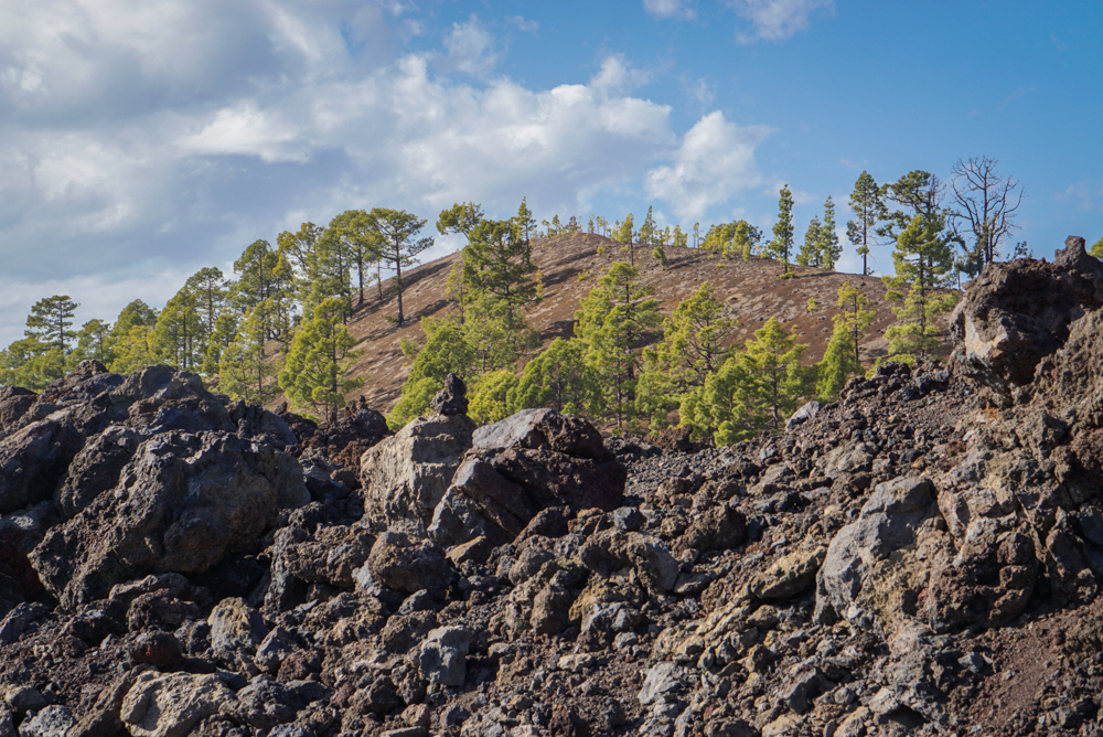 drum-teide-roadtrip-17