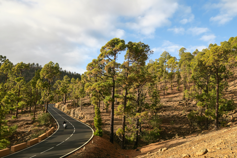 drum-teide-roadtrip-46