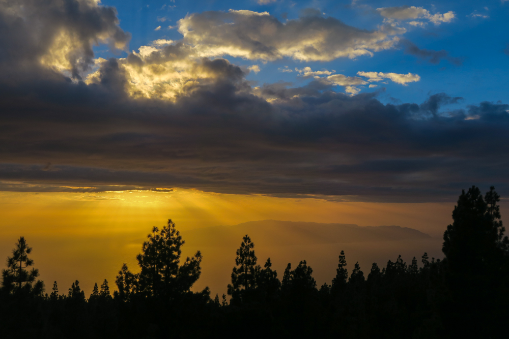 teide-roadtrip-56