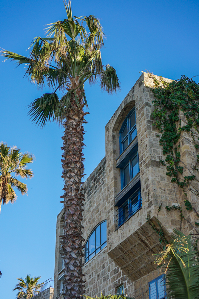 Jaffa impresii tel aviv-181