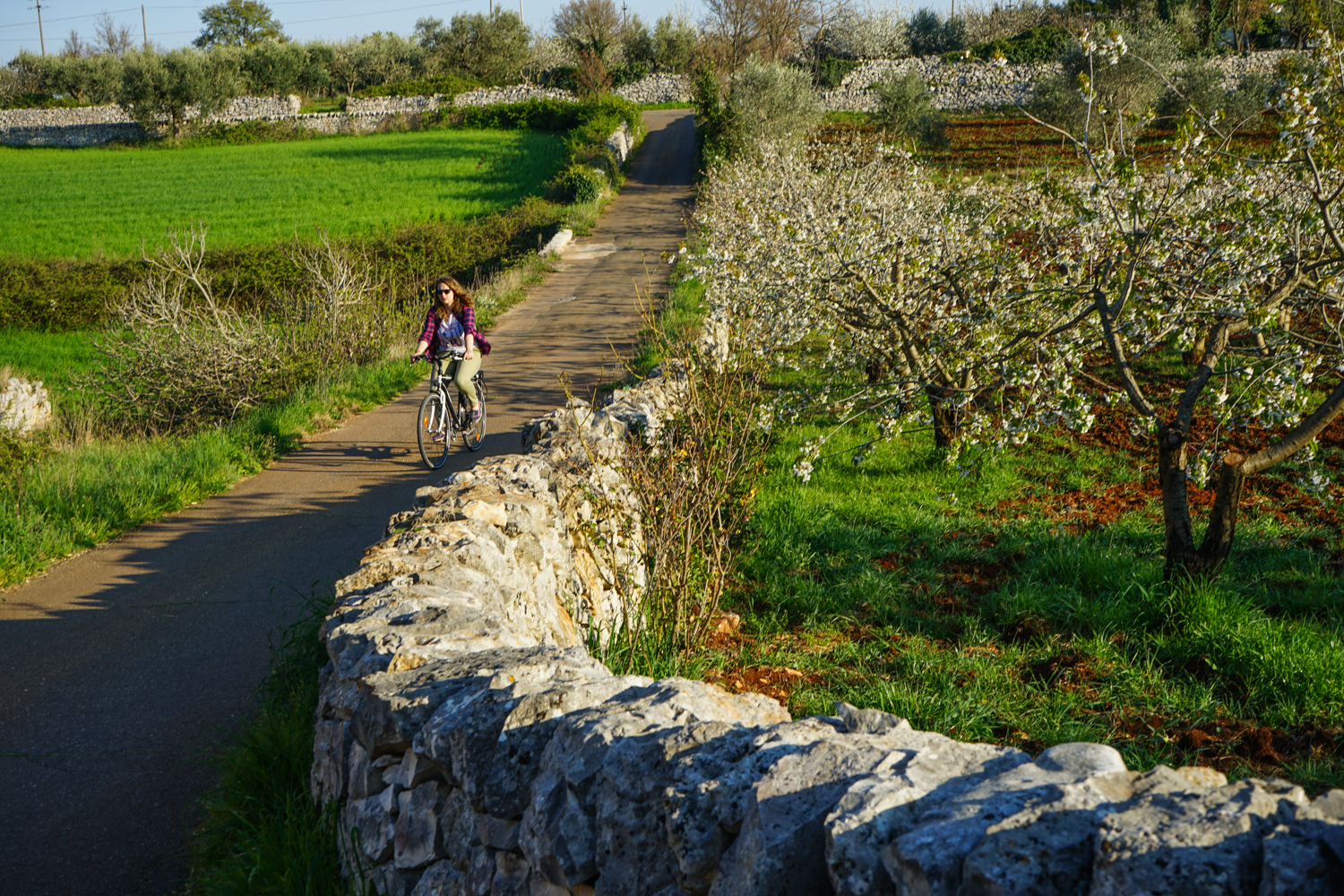 alberobello vacanta puglia-18