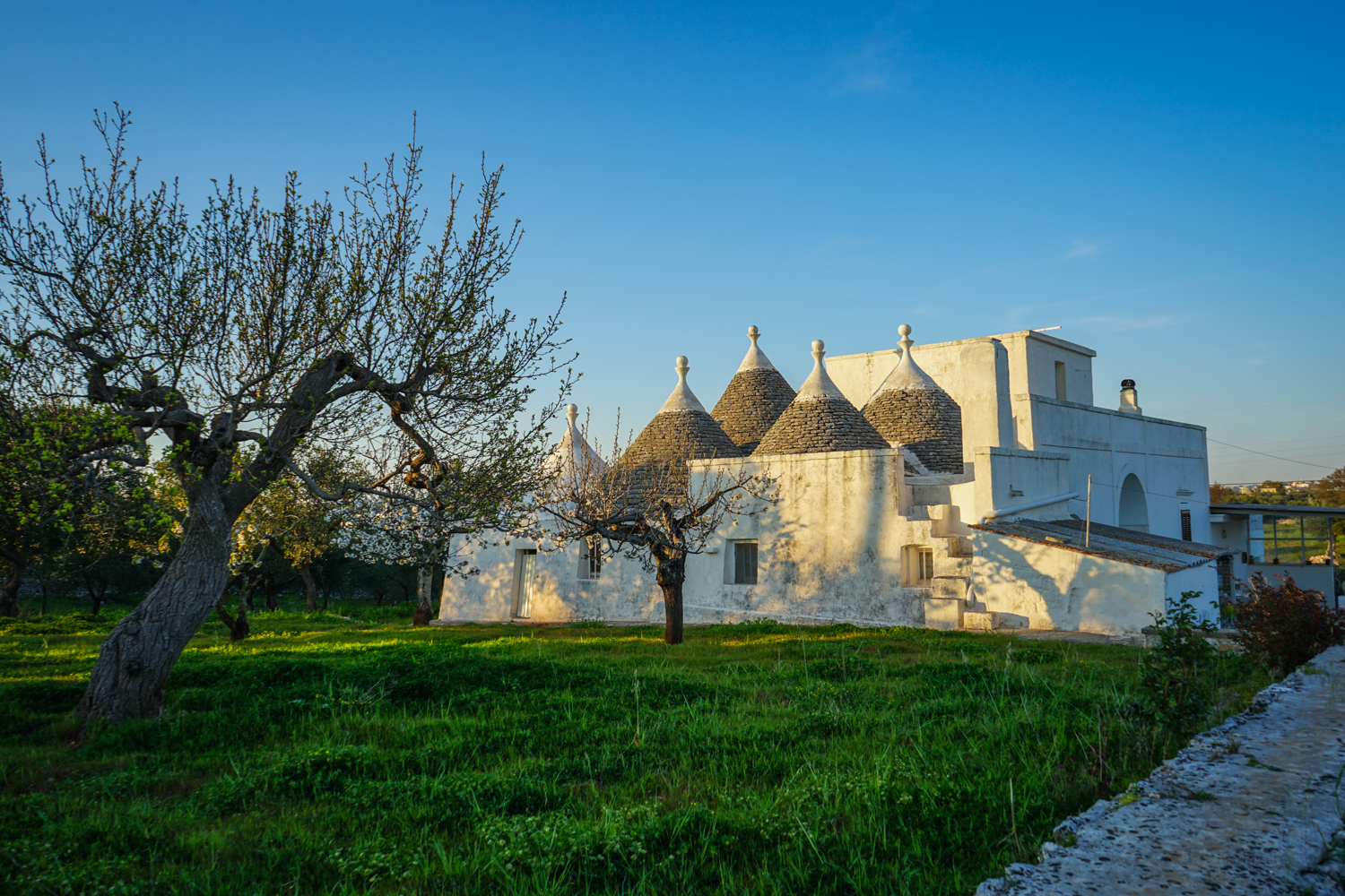 alberobello vacanta puglia-37