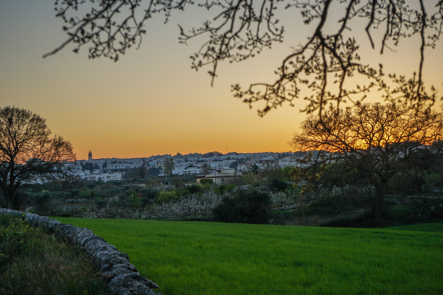 alberobello vacanta puglia-53