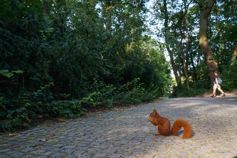 Lazienki parc varsovia cu copiii-13